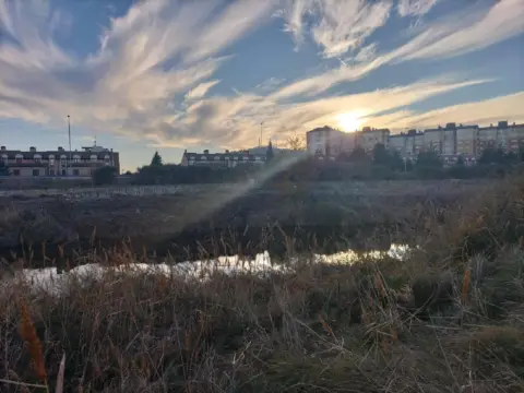 Finca rústica en Villamuriel de Cerrato